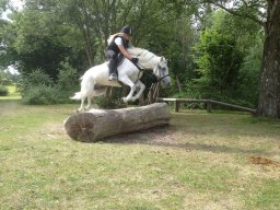 img_1515_web